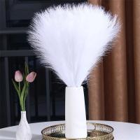 5pcs De Pampas Artificial 42cm Simulación De Pluma Para Bodas Decoración Bohemia Del Hogar Uso En Aniversarios Baños De Natación Cumpleaños Decoración De Casa - details 0