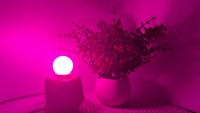 Bombilla LED Colorida E27 B22 2W AC 110V 220V G45 Para Decoración De Hogar Luz De Ambiente En Colores Verde Morado Rojo Rosa Naranja Azul - details 7