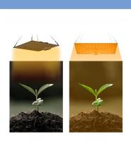 Lámpara De Crecimiento LED De Espectro Completo 300W Para Plantas Uso En Invernadero Interior Iluminación Para Frutas Suculentas Y Agricultura De Sopletes - details 8