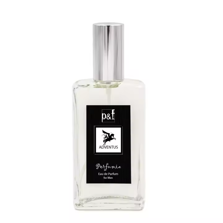 ADVENTUS de p&f Perfumia - Eau de Parfum Premium para Hombres - Fragancia Chypre Frutal - Perfume de Duración Prolongada - Vaporizador 110 ml - Regalo Ideal para Cumpleaños - Perfume Masculino - 1