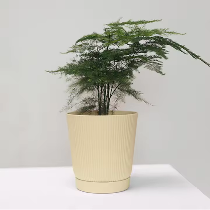 Macetas Pequeñas Con Tazón Floral Maceta Gruesa De Plástico Maceta Respirable De Terracota Con Bandeja Para Jardín - 1