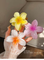4PCS Clip Para El Cabello De Mujer Moda Con Flores Bohemia Accesorios Para El Cabello Grandes Barrettes Para Vacaciones - details 3
