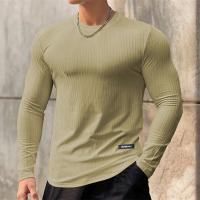 Camiseta Deportiva De Hombre 2024 Nueva Primavera Otoño Secado Rápido Camisa Manga Larga Para Gimnasio Y Correr Tops Ajustados - details 7