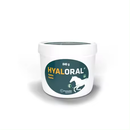 HYALORAL EQUINO 840 G Pharmadiet - 1
