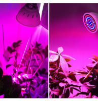 Lámpara De Crecimiento Para Plantas LED E27 Espectro Completo Foco Para Cultivo En Invernadero Y Tentación Hidroponía Con Varias Quantidades De LEDs 48/60/80/126/200/300 - details 15