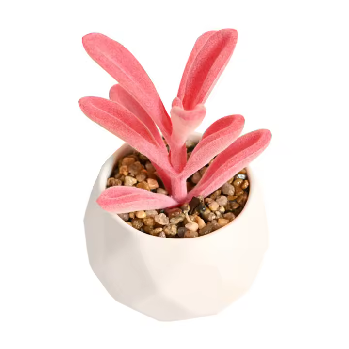 Plantas Artificiales De Suculentas Rosadas Con Maceta Para Decoración De Jardín Y Hogar Fake Bonsai Flor Accesorios De Planta - 1