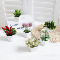 Juego De Macetas De Plástico Evergreen Para Decoración De Escritorio Y Oficina Estilo Suculentas Sin Mantenimiento Realista - details 12
