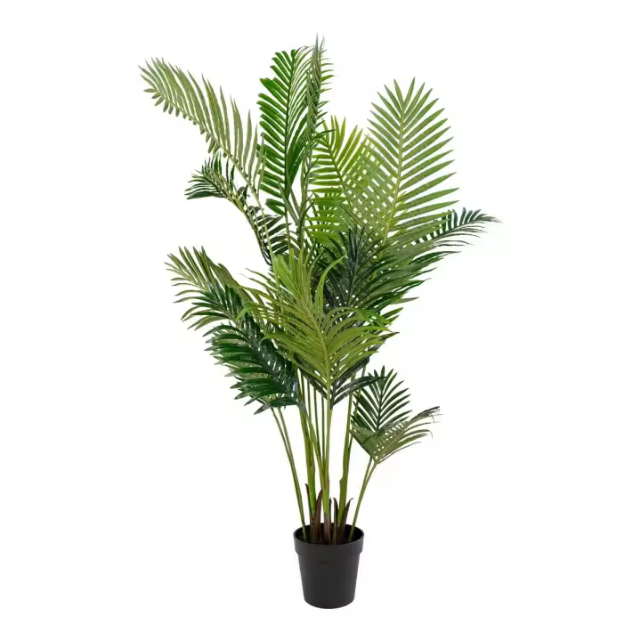 Planta Artificial Areca, Polietileno, Verde, 64x64x175 cm - 1