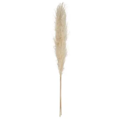 Factory Cuadros - Lote de 3 Tallos de Pampa Natural - 110 Cm de Alto - Flor Artificial - Decoración Natural - 1