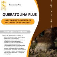 QUERATOLINA PLUS, cuidado de los cascos de los caballos de Laboratorios Pino. Varios formatos - details 0