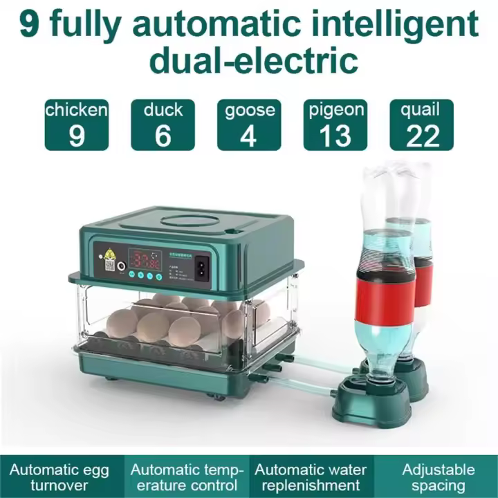 Incubadora de huevos de 9/15 con cajón, Mini incubadora de huevos con reposición automática de cama de agua iónica y control de temperatura - 1