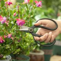 Tijeras Profesionales Para Bonsái Plantas Flores Podar Mariposas Precisión En Cortes Longitud De Mango Antideslizante Metal - details 6