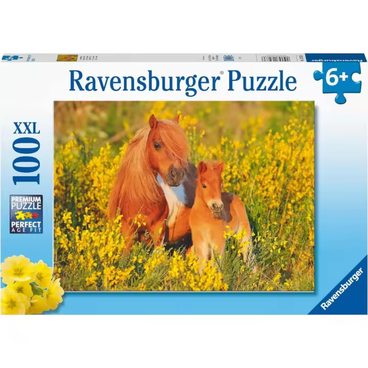 Ravensburger - Ponis Shetland. Puzzle de 100 piezas - 1