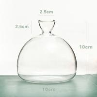 Vaso De Comino Para Cultivo De Semillas Kit De Plantación Con Pegatinas Regalo Para Amantes Del Jardín Material De Vidrio Transparente - details 1