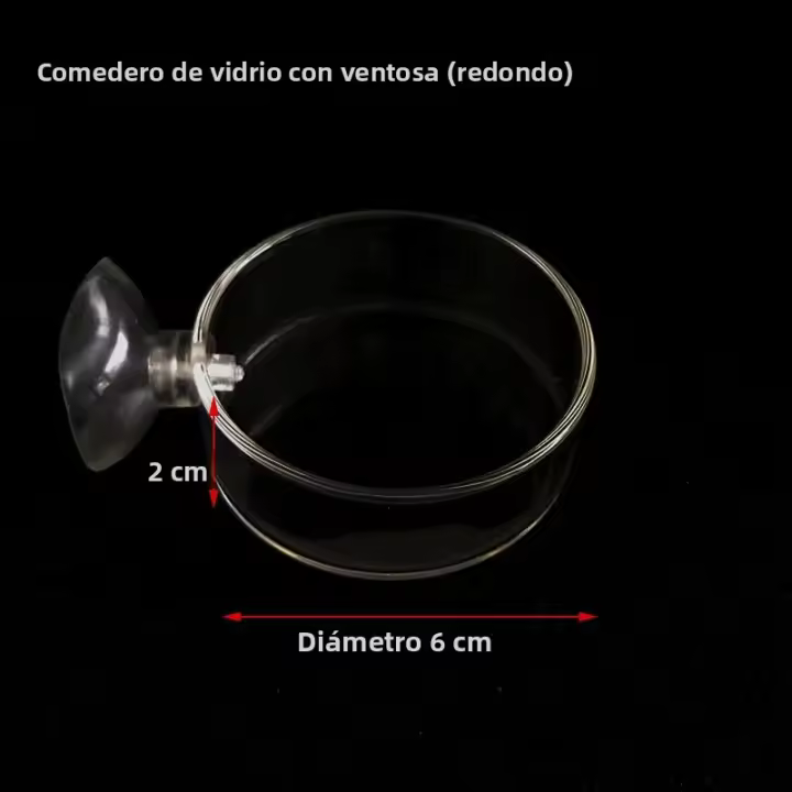 Tanque De Acuario Transparente Alimentador De Peces Y Camarones Círculo De Alimento De Vidrio Fleeting Alimentador De Fundamento Fleeting - 1