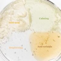 Beauty of Joseon Hanbang Serum Discovery Kit 10ml - Pack de 4 - details 2