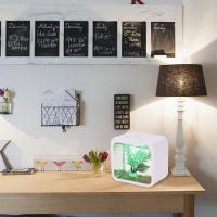 Acuario Pequeño Y Transparente De Mesa En Acrílico Con Luz LED Ambiental Y Bloques De Construcción Para Decoración De Interiores - details 8