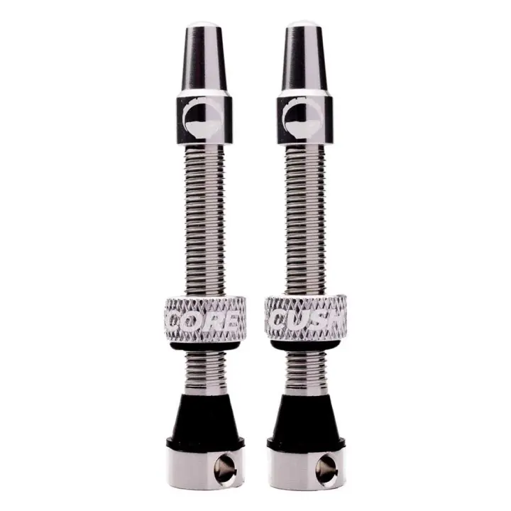 Cushcore Válvulas Tubeless Presta Plateado - 1