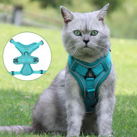 Harnés Para Perros Y Gatos Resistente Al Escape Transpirable Con Correa Para Caminar Al Aire Libre Control Fácil Harnés Reflejo Para Mascotas - details 7
