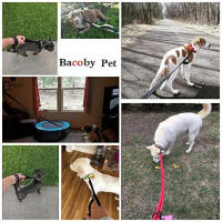 Correa Para Perros De Viaje Al Aire Libre Con Dos Manijas Resistente Y De Mayor Control Para Entrenamiento Dual Handle - details 16