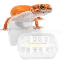 Caja De Incubación Para Reptiles Herramienta De Hatchery DIY Contenedor Para Criaderos De Tortugas Geckos Y Serpientes Material Plástico - details 2