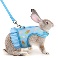 Juego De Correa Para Conejo Universal Con Estampado De Radish En El Pecho Y Cuerda De Tracción Al Aire Libre Accesorios Para Mascotas - details 8
