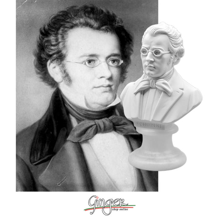 Schubert - Envío Gratis* | Miravia