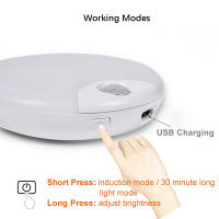 Lámpara De Pared LED Con Sensor De Movimiento Luz Nocturna Ajustable Brillo Para Dormitorio Toiletto Sala De Estar - details 5