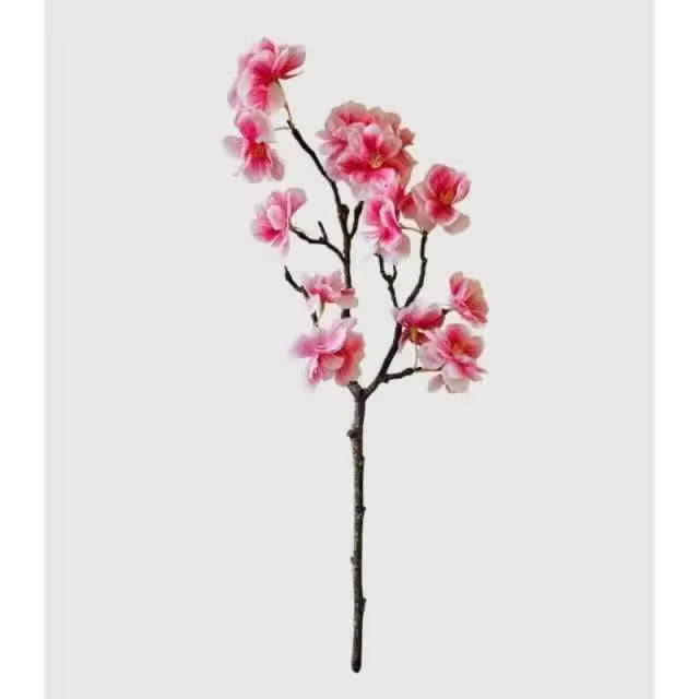 Rama Almendro Rosa     EkilikuaHome - 1