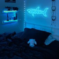 Luz LED Neón De Tiburón Para Decoración De Pared Potenciada Por USB Dimmable Regalo Para Jóvenes Decoración De Fiesta Temática De Tiburón Para Habitación De Juegos - details 4