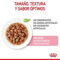Royal Canin Humedo Kitten Sterilized 12X85g - details 2