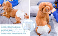 SMELL & SMILE Pañales Desechables para Perro Pañales para Perros Hembra Pañal Sanitarios para Perro Mascotas Bragas Higiénicas Suaves absorbentes (L) - details 3
