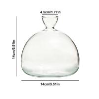 Kit De Crecimiento De Semillas De Agarrope Vaso De Vidrio Transparente Para Cultivo De Semillas Regalo Para Amantes Del Jardín Decoración Del Hogar Estilo Moderno - details 11