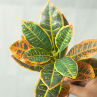 Arbol De Ficus Artificial Tropical Banyan Rama De Planta Falsa Codiaeum Hojas Verdes De Plástico Para Decoración De Jardín Y Hogar Tamaño 24-41cm - details 7