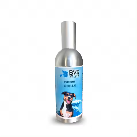 Perfume Ocean BVS 150 ml - 1