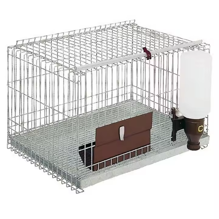 Jaula para Pequeños Animales Sin patas 58x43x38 cm - 1