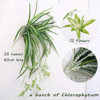 HORO.ES Planta de araña 3PCS artificial de imitación de clorophytum Comosum para decoración del hogar, hotel, seda, 5 ramas, 35 hojas, 12 flores, 60 cm de largo colgante - details 0
