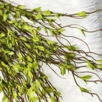 Nueva Actualización artificial Coño Ramas de sauce para florero Tallos de sauce Falsos PARAS LA Cocina del Hogar - details 0