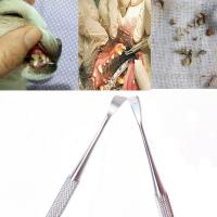 Herramienta De Limpieza Dental Para Mascotas Perros Y Gatos Eliminador De Calcaíno Piedras Dentales Desbrozadora De Acero Inoxidable - details 1