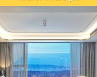 Tira De Luz LED COB Alta Densidad Flexible Para Decoración De Habitaciones Y Backlight 3000-6000K Dimmable DC 12V 24V Tape Ribbon LED - details 12