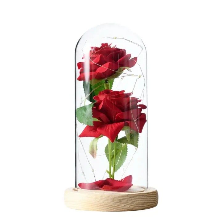 BIT Regalo de flores conservadas, rosa iluminada en cúpula de cristal, regalos de flores de rosas eternas para siempre - 1