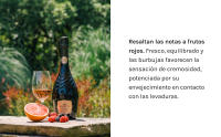 Codorníu Ars Collecta Grand Rosé - Cava Rosado Reserva - details 4