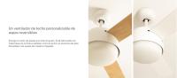 Create - Ventilador de Techo Silencioso DC 40W con Luz LED y Mando a Distancia - WIND BALL - details 8