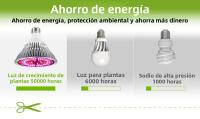 Luz De Cultivo LED De Espectro Completo 150W E27/E14 Para Plantas De Interior Suculentas Verduras Frutas Iluminación De Invernadero 220V - details 8