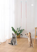 Juguete Interactivo De Gato Y Ratón Simulación Divertida Para Gatos Y Gatitos Telescopio Puerta Colgante Material De Tela - details 7
