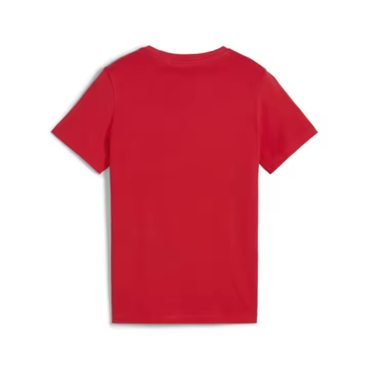 Camiseta Puma Essentials+ Logo Lab Rojo Summer T Shirt 679231-11 - 1