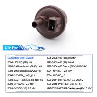 Válvula De Respiración De Tanque De Combustible EVAP Purge Para Citroen Peugeot Fiat Renault 0280142317 9612315480 96254424 96458445 16287G 142980 Pieza De Repuesto De Automóvil - details 1