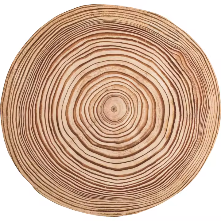 VINILIKO, set de 4 individuales de vinilo Tronco  4u-[Diam] 40 cm - 1