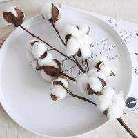 Rama De Algodón Artificial Blanca Para Decoración De Bodas Y Fiestas Flores Falsas Para El Hogar Y Exposiciones Con Hojas De Eucalipto - details 4