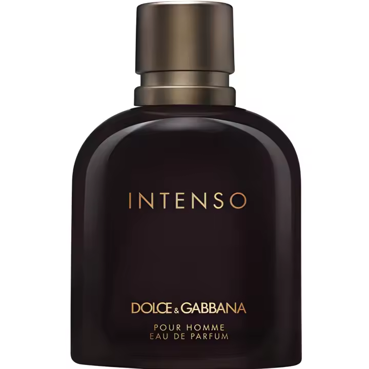 DOLCE & GABBANA Pour Homme Intenso Eau de Parfum Vaporizador 125ml - 1